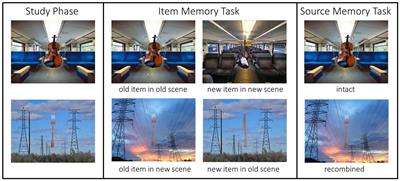 Not so different after all? An event-related potential study on item and source memory for object-scene pairs in German and Chinese young adults